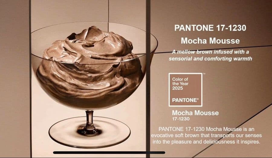 Pantone Mocha Mousee