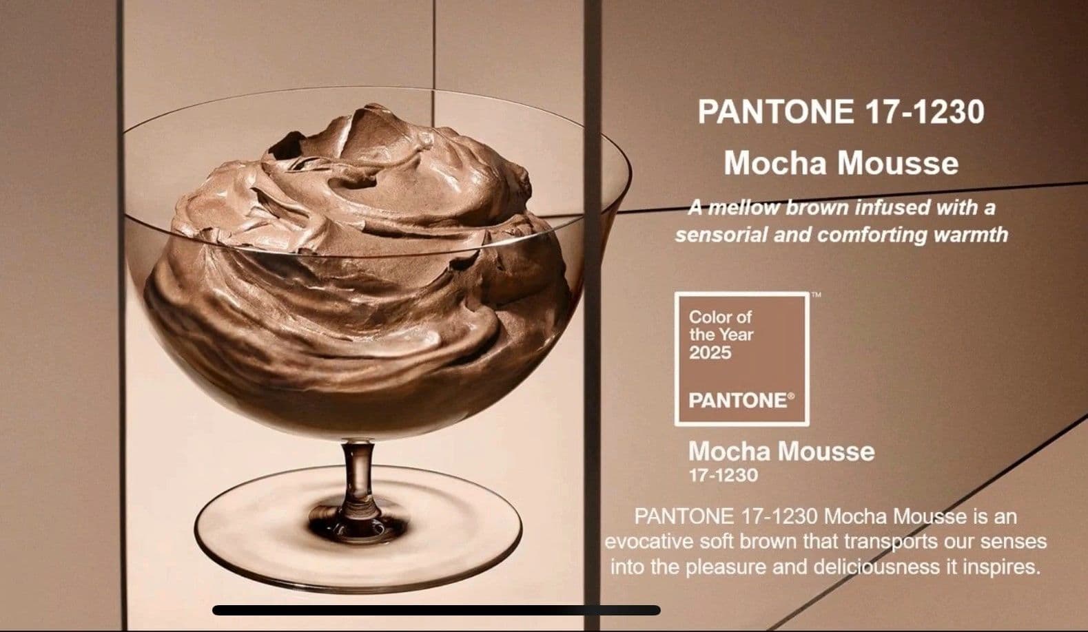 Pantone Mocha Mousee