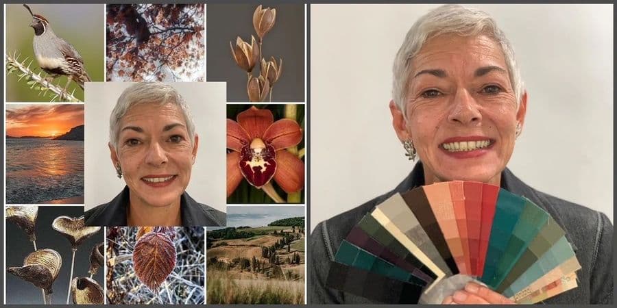 Color analysis delaware pewter autumn