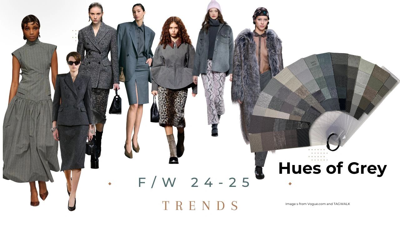 Fall Winter 24 25 color Grey